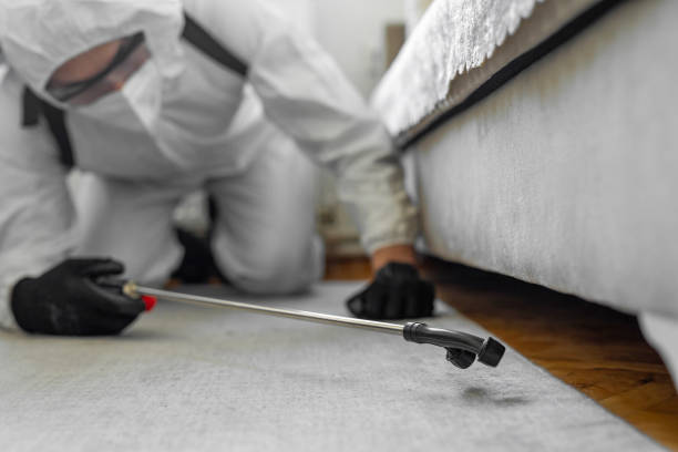Professional Bed Bug Control technician working in Oberlin, KS