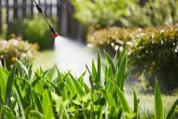 24/7 Emergency Bed Bug Control experts in Oberlin, KS