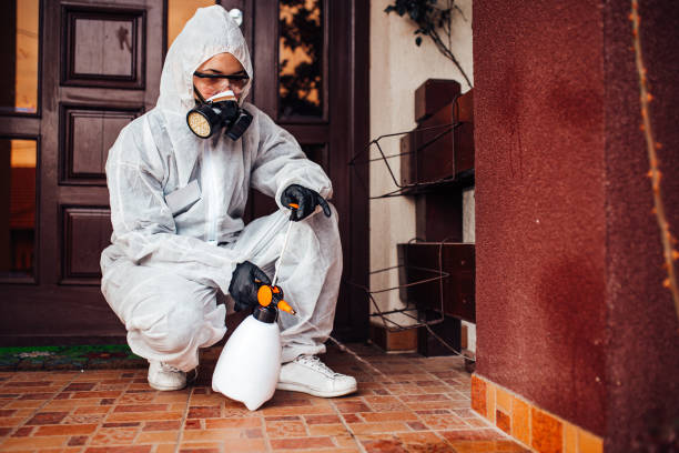 Reliable Bed Bug Control contractor in Oberlin, KS by Nex Pest Control